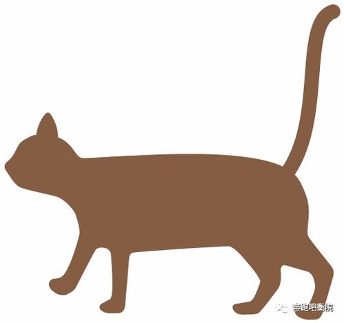 平面設(shè)計(jì) 視覺(jué)語(yǔ)言的魔法與藝術(shù)